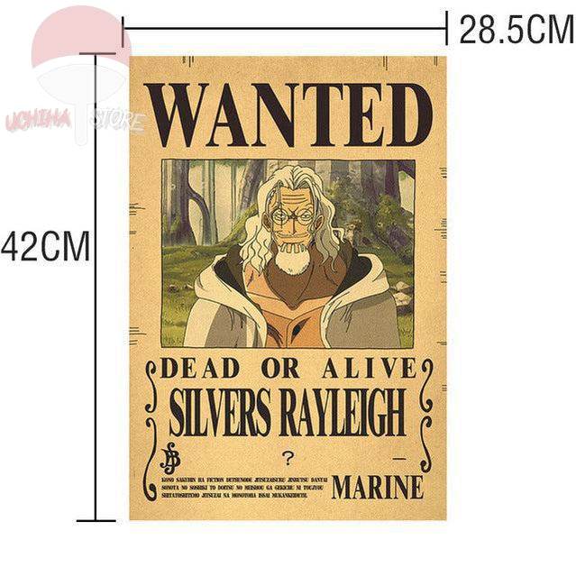 One Piece Posters
