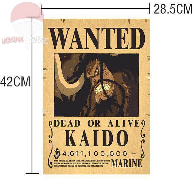 One Piece Posters