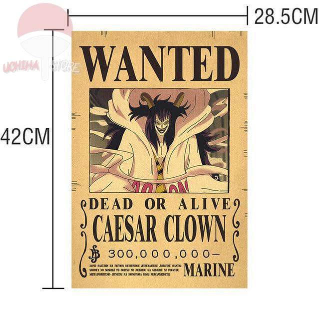 One Piece Posters