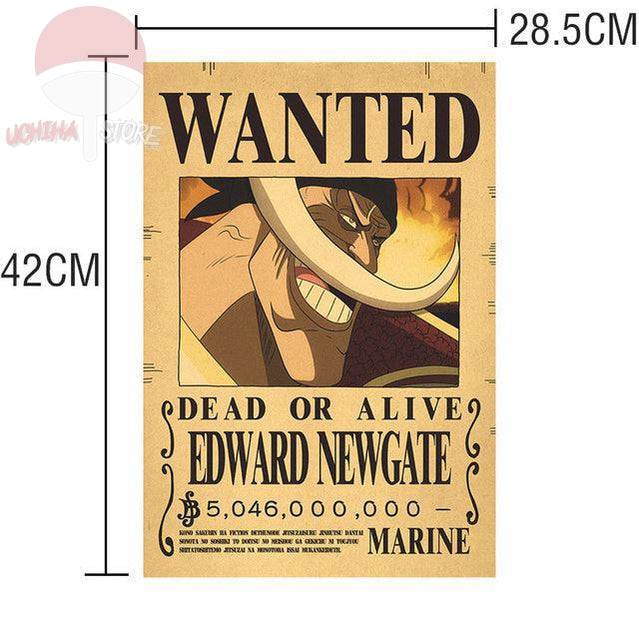One Piece Posters