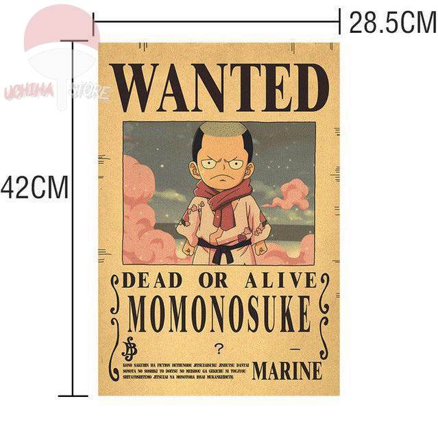 One Piece Posters