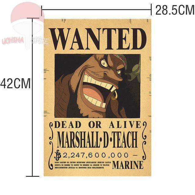 One Piece Posters