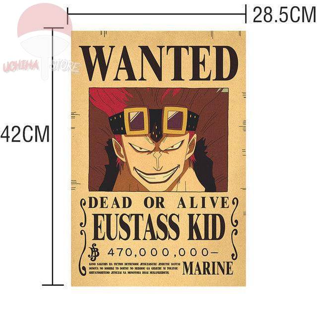 One Piece Posters