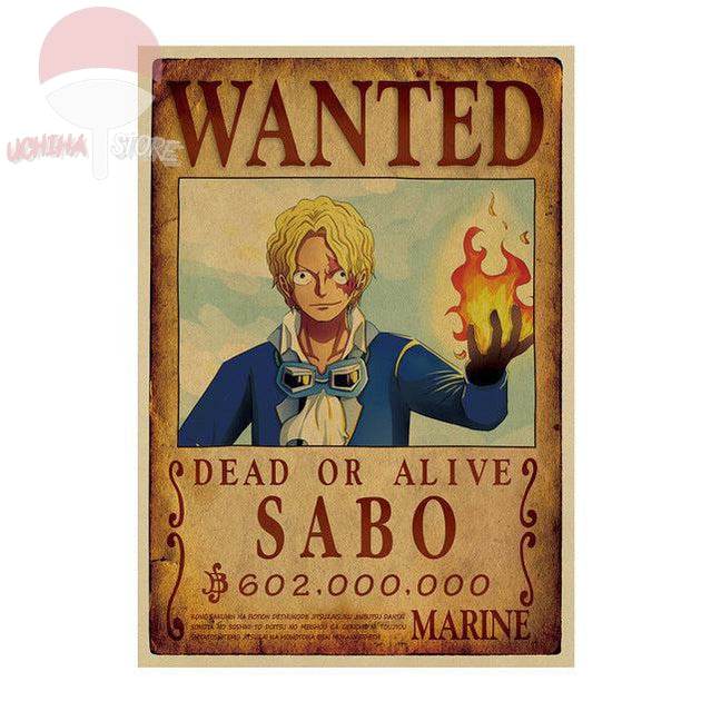 One Piece Wanted Dead Or Alive Poster 51x36cm - Anime Decor
