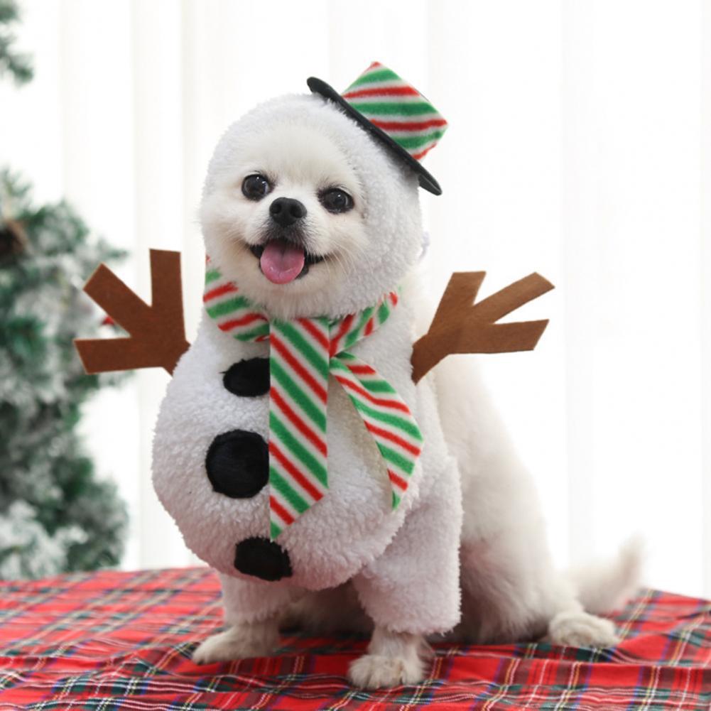 Frosty der Schneemann