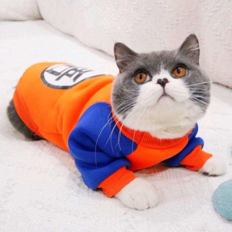 Goku Langarm-Pullover