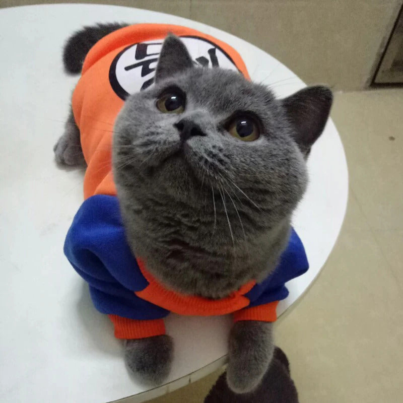 Goku Long Sleeve Sweater for Pets with Matching Hooman Goku Gi Tee