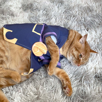 Leone Abbacchio