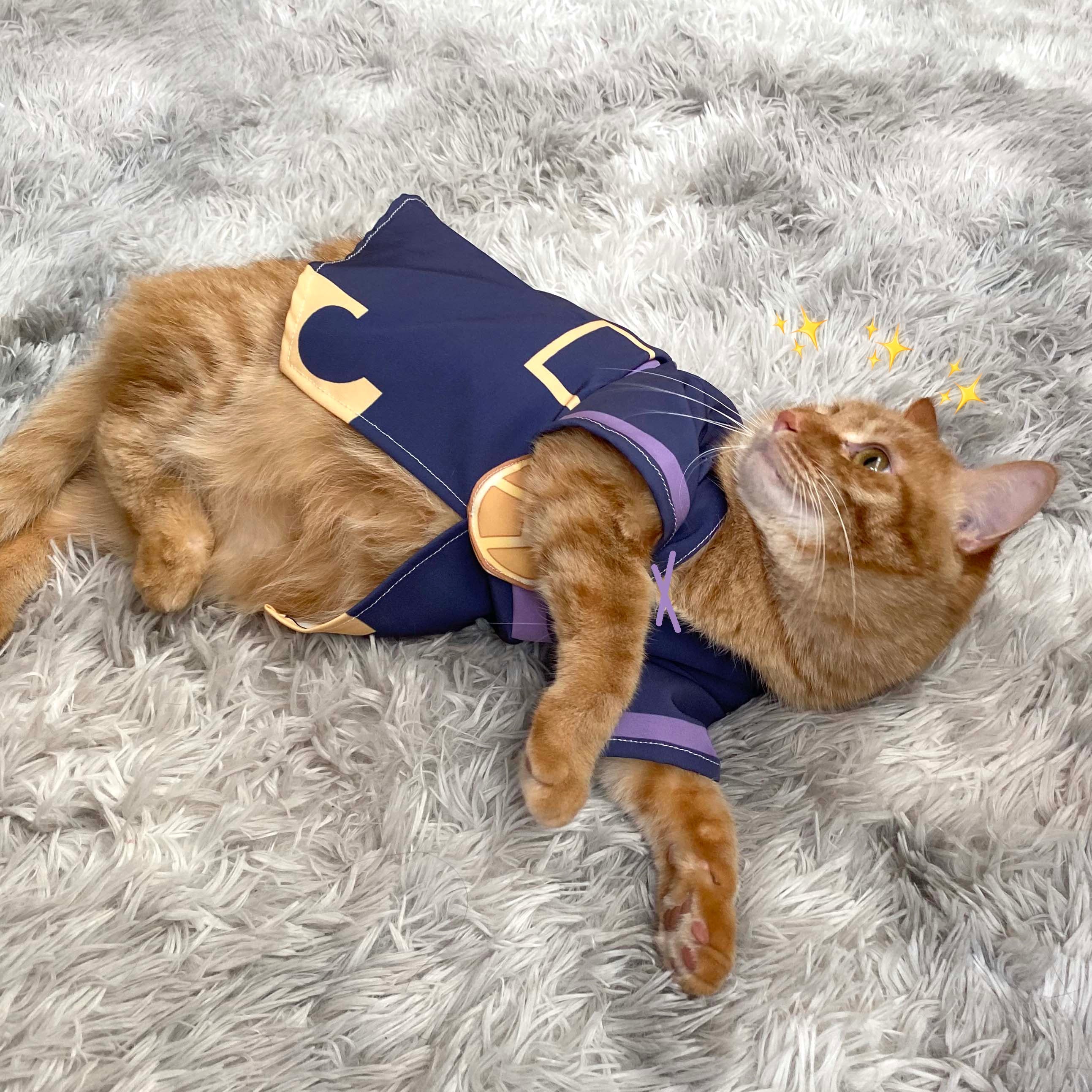 Leone Abbacchio