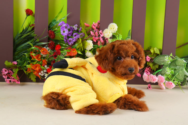Pikachu Dog & Cat Hoodie