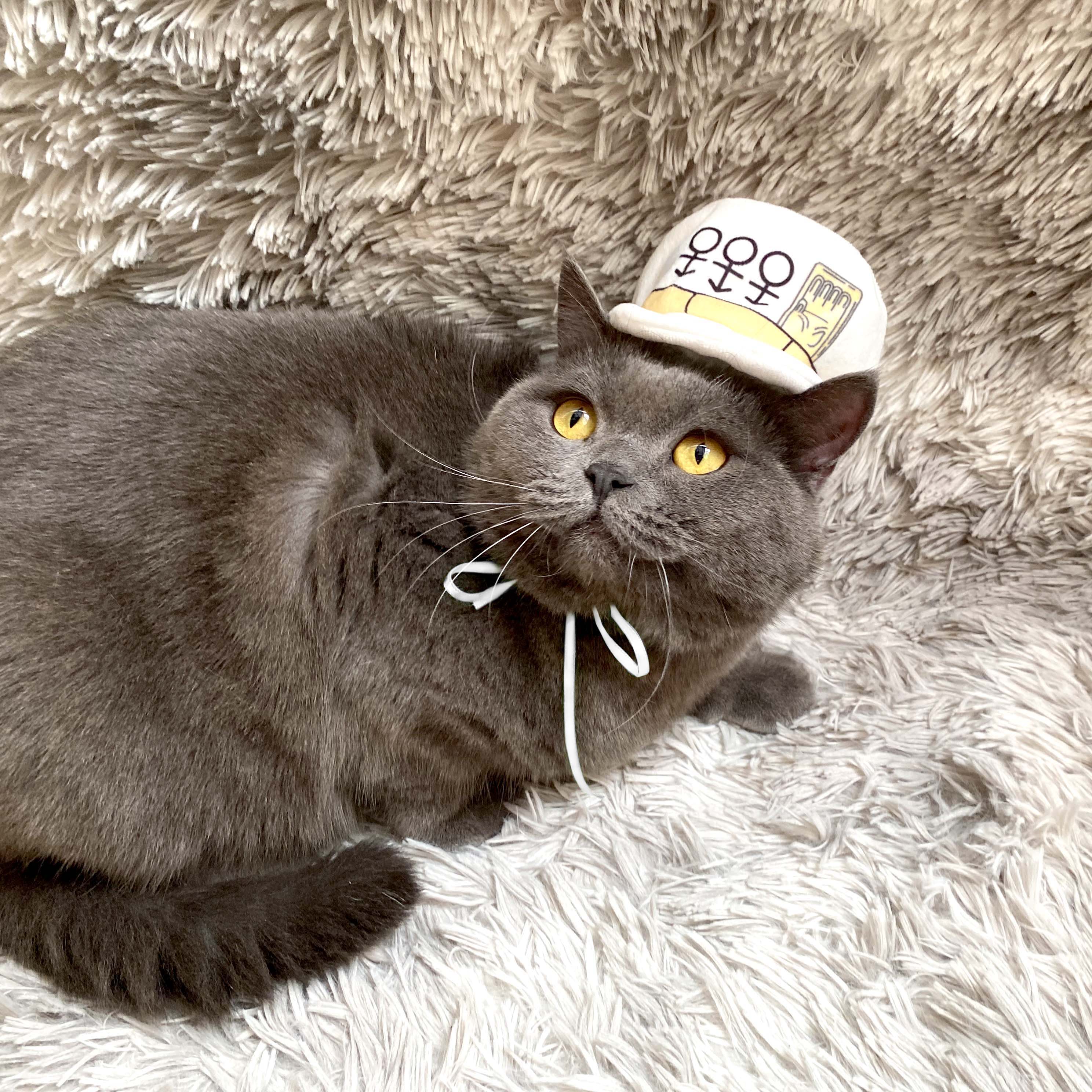 Jotaro Kujo - Diamond is Unbreakable (Hat Only)