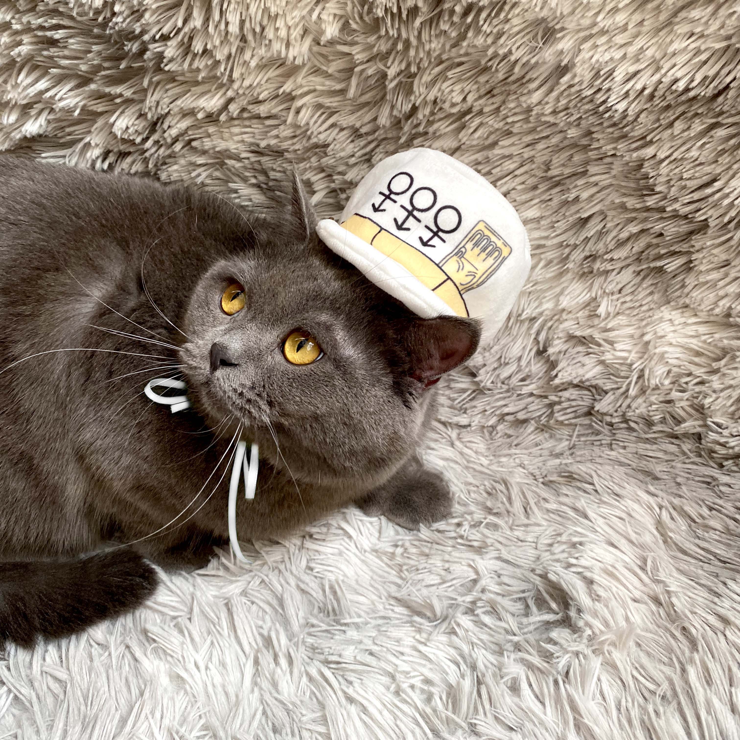 Jotaro Kujo - Diamond is Unbreakable (Hat Only)