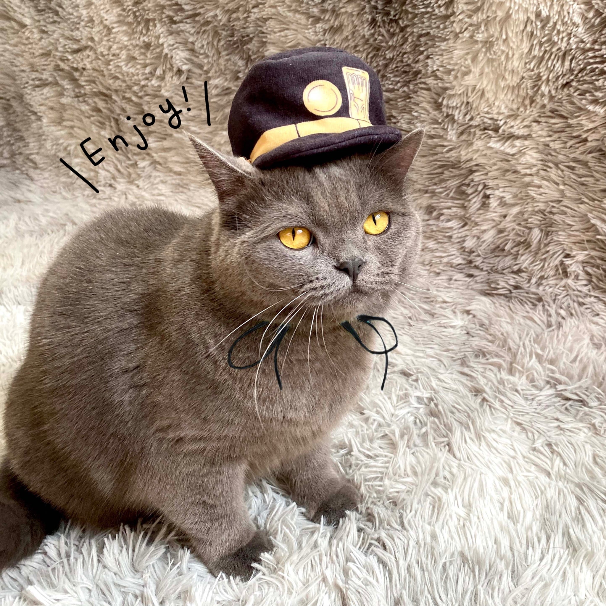 Jotaro Kujo (Hat Only)