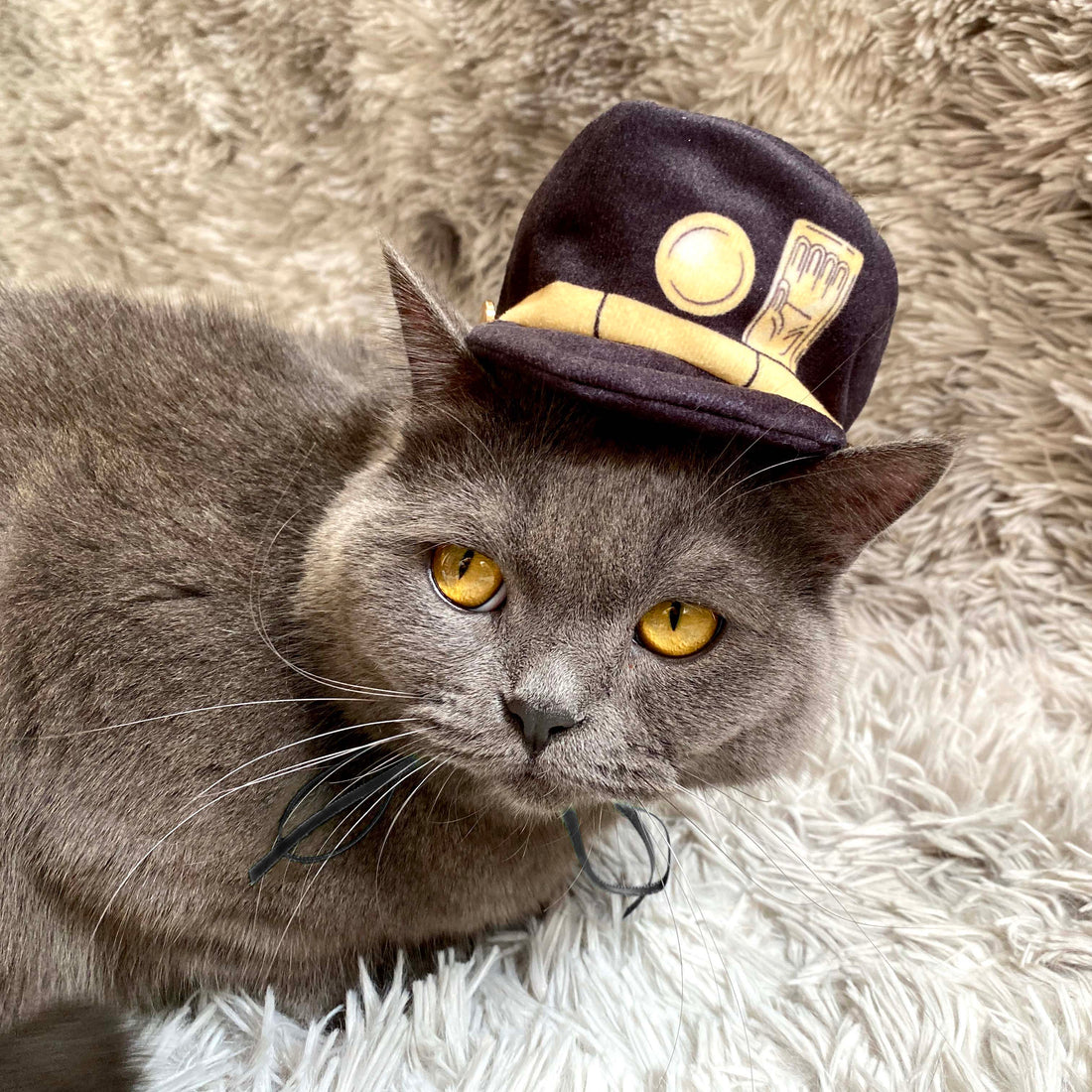 Jotaro Kujo (Hat Only)