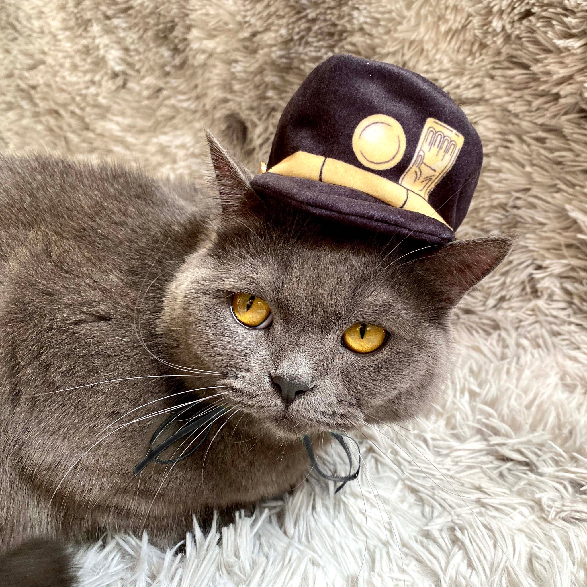 Jotaro Kujo (Hat Only)