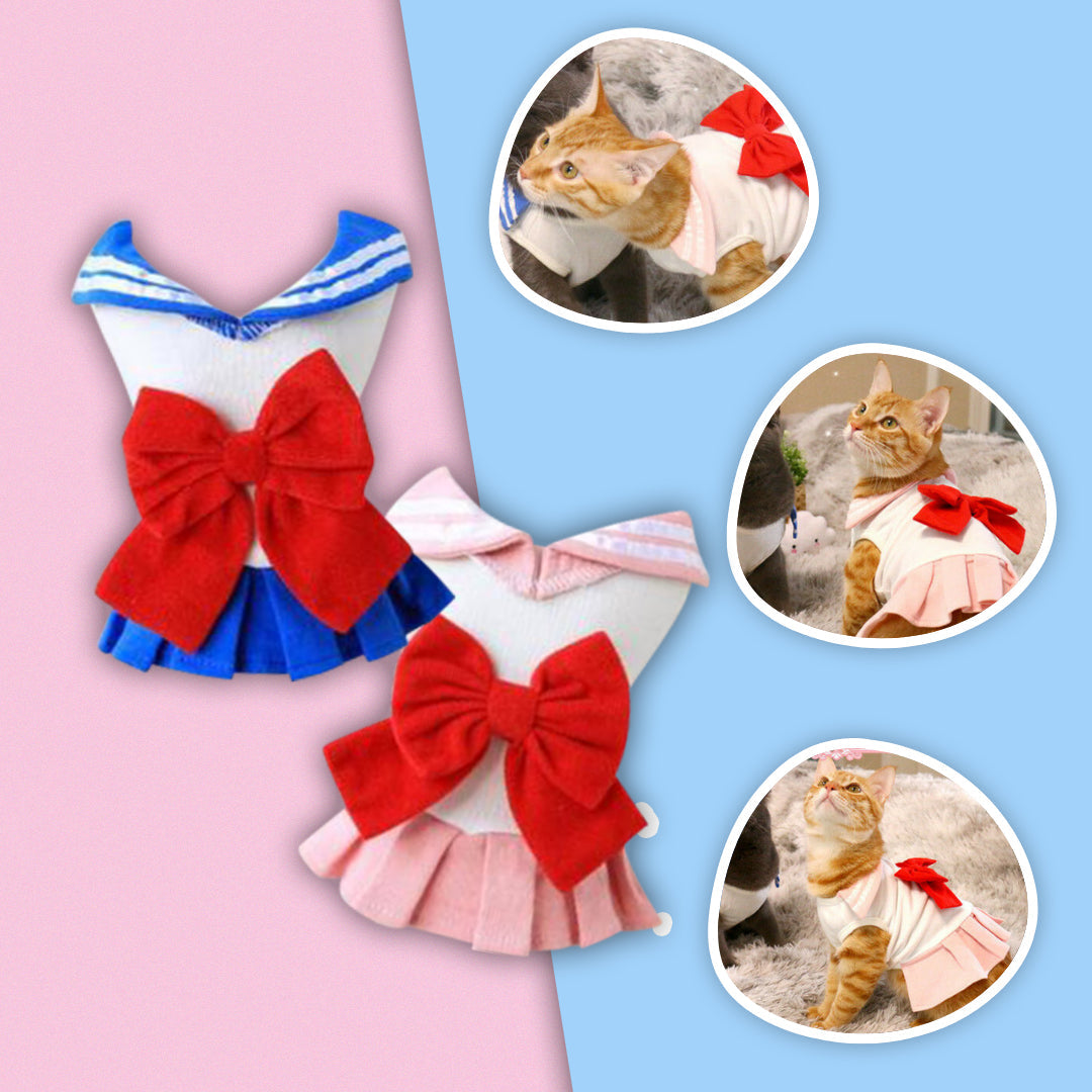 Sailor Chibi Moon